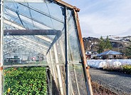 Hothouses, greenhouses in Hveragerdi in winter. They are heated by geothermal energy and supply a large part of the icelandic demand of vegetables lik...
