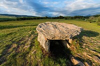 Remains of the dolmen of Pasquerets, Eine, Cerdanya, France.
