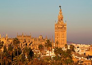 The Moorish Giralda (1184-96) next to the Gothic Cathedral (1402-1506). Seville, Seville province, Andalusia, Spain.