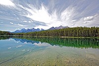 View over a lake with the water reflecting the clouds in sky, near Ice Field Parkway in the Rocky Mountains, Alberta, Canada.