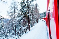 The famous Bernina red train, Unesco monument, in the middle of a winter storm.