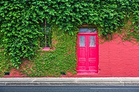 Ivy covered bright red brick wall with bright red door in downtown Green Cove Springs, Florida.