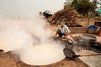 India: Punjab: Sugar production from Sugar Cane