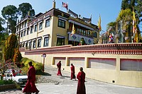 Nepal. Tibetan Buddhist monastery at Copan, Kathmandu. Young boy monks.