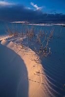 Sidelighting at sunset highlights a dune edge in White Sands National Monument at sunset near Alamogordo, New Mexico, USA.