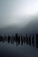 Wooden pilings reflected in still water on a foggy morning, Todd Inlet, British Columbia, Canada