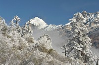 Macizo del Kanchenjunga, 8586 m (Sikkim, India).