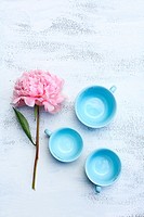 Blue pastel teacups and pink peonies on white.