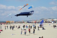 Wind festival of Berck-sur-Mer in the north of France.
