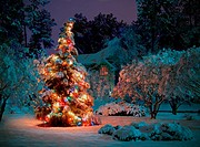 Snow covered outdoot Christmas tree with multicolored lights.