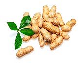 Pile of dry roasted peanuts with green leaves isolated on white background. Closeup.