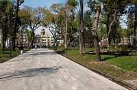 Alameda Park Mexico City.