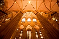 ceiling of the Regensburg Cathedral in Regensburg, Bavaria, Germany, Europe.