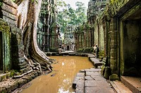 Tourists watching the giant tree roots (Tetrameles nudiflora) over a building at Ta Prohm temple, built in the Bayon style largely in the late 12th an...