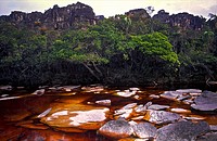 Tea-colored stream on the Auyantepuy summit. Canaima National Park, Bolivar State. Venezuela.