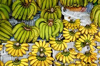 Bananas, Can Tho Market, Mekong Delta, Vietnam.