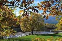 Autumn colours in oak trees beside Las Presillas river pools near El Paular, at Madrilenian Lozoya Valley in the Sierra de Guadarrama mountain range.