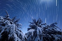 Moonlight illuminates snow covered trees in Nebraska as stars trail overhead, along with an iridium flare.