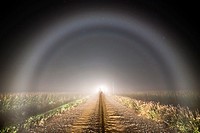 Defined fogbow shines ahead of a car in some crop fog over a field in western Iowa. The only way to see such fogbows is to walk out 50-100 feet into y...