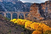 Hoces del Riaza Natural Park. Maderuelo. Segovia province. Castilla y Leon. Spain.