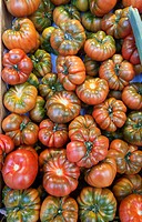 raf tomatoes. san miguel market. madrid.