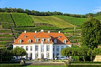 Schloss Wackerbarth Manor in Radebeul near Dresden, Germany, the seat of the Saxon State Winery.