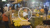Woman seller of lotus flowers in Pak Khlong Talat , Flower market , Bangkok , Thailand. Pak Khlong Talat is a market in Bangkok, Thailand that sells f...
