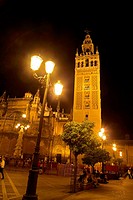 Cetedral night Seville, Spain.