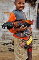 young boy with cock in the village of Ban Pha Yong, where live people from both Khmu and Hmong minority ethnics groups, in mountain massif near Nong K...