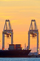 Container cranes atsunset, Deltaport container terminal, Roberts Bank, British Columbia.