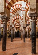 The Mosque-Cathedral of Cordoba is the most significant monument in the whole of the western Moslem World and one of the most amazing buildings in the...