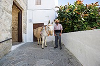 Juanino with one of his donkeys at the gate of the Castle in Vejer de la Frontera, Andaluica, Spain. Donkeys can be hired for walking or riding around...