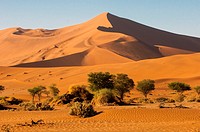 Red sand dunes in the Sossusvlei valley. Namib Naukluft National Park. Namib Desert, Namibia.