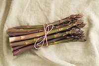Bunch of fresh purple asparagus on wooden table with linen cloth.