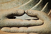 Buddha´s hand in Dhayan Mudra,India.