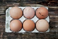 Farm eggs in carton.