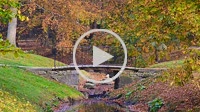Promenade over a bridge in autumncolored forest