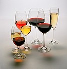 different types of glasses of wine and champagne glass on white background
