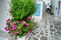 Paros white houses with typically colourful and door frames, and painted paving stones, Paros, Cyclades, Greece, Europe