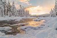 Wassara river with old wooden bridge, open water, sun reflecting in the water, snowy trees and snow on the rocks in the water, Gällivare, Swedish Lapl...