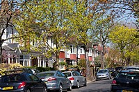 Residential street in suburban London