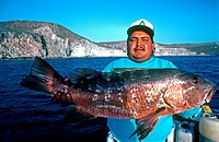 Large snapper Baja California Sur Mexico.