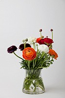 Bouquet of flowers in a vase.