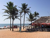 Beach umbrellas palm trees and restaurant Benaulim Beach Goa India.