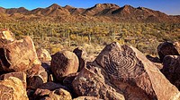 Hohokam petroglyphs are etched into rocks on the top of Signal Hill in Saguaro National Park.