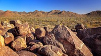 Hohokam petroglyphs on rocks on the top of Signal Hill in Saguaro National Park.