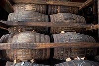 Guatemala, Quetzaltenango, Ron Zacapa, ageing barrels