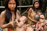 Yagua tribe located near Iquitos, Amazonian, Peru. Two women breastfeed their children. One poses with his pet, a little pygmy marmoset (the smallest ...