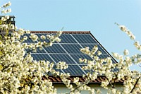 solar photovoltaic panels on a roof in springtime with blurred blossoming cherry flowers in foreground, shot in Stuttgart, Germany.