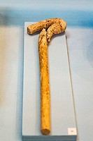 Egypt, Cairo, Egyptian Museum, ivory heka scepter, coming from the tomb U-j, Umm el Qab, Abydos. Late Predynastic or Protodynastic period.